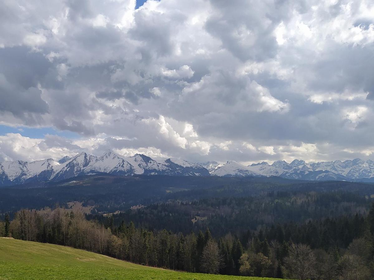 Familiowka Villa Mizerna Exteriör bild