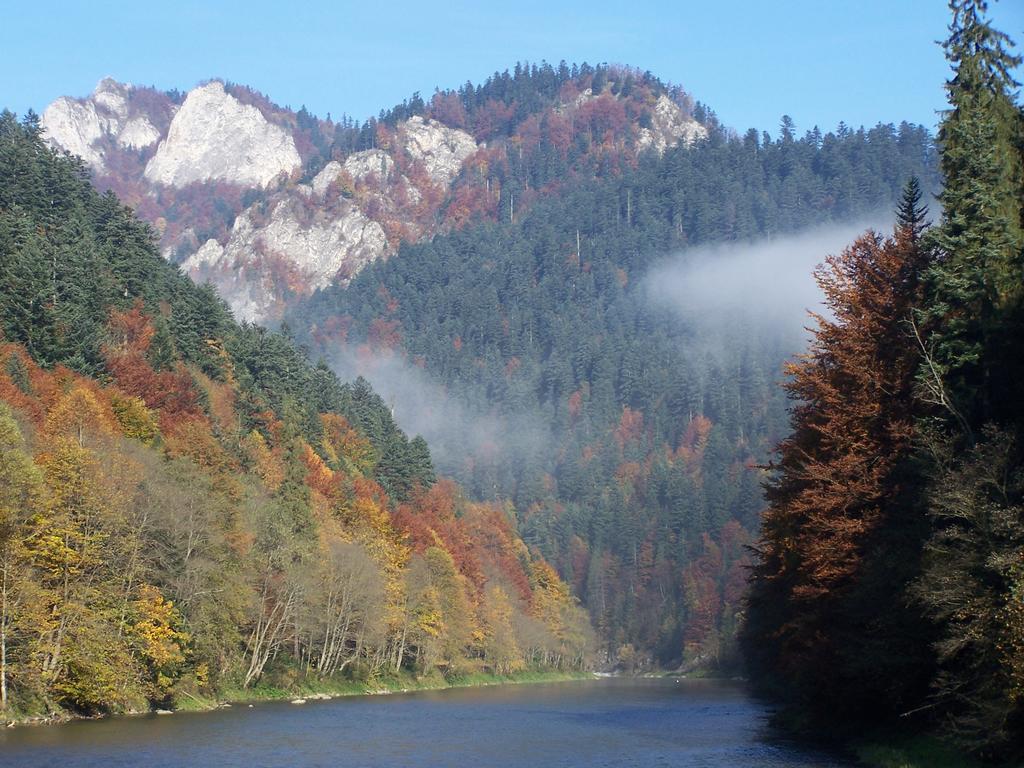Familiowka Villa Mizerna Exteriör bild