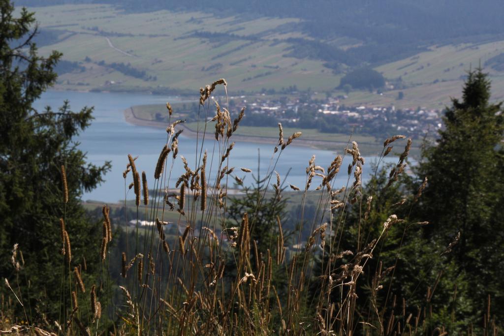 Familiowka Villa Mizerna Exteriör bild